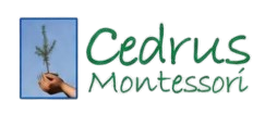 Cedrus Montessori